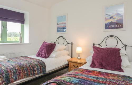 Mynydd Parys - Foto 20