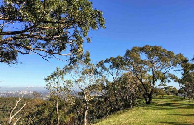 Dishwasher A C Dryer Campbelltown Courtyard East - Foto 24