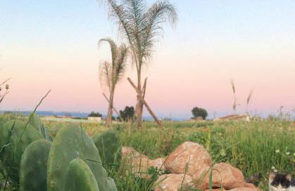 Villa Sara di Puglia - Foto 31