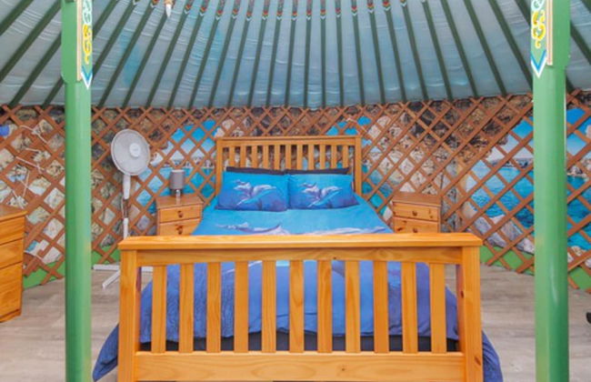 Green Yurt With Hot Tub - Sleeps 3, Parking & Wifi - Photo 29