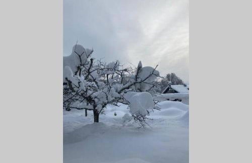 Gemütliche Ferienwohnung in Sankt Blasien - Foto 43