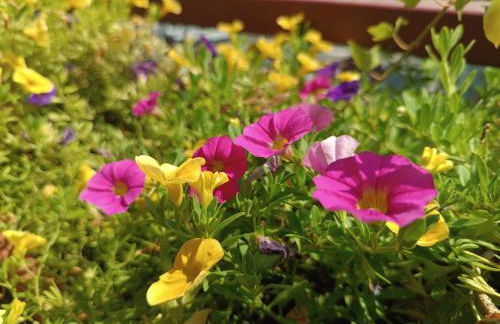 Lillo's Home Milan - Foto 27