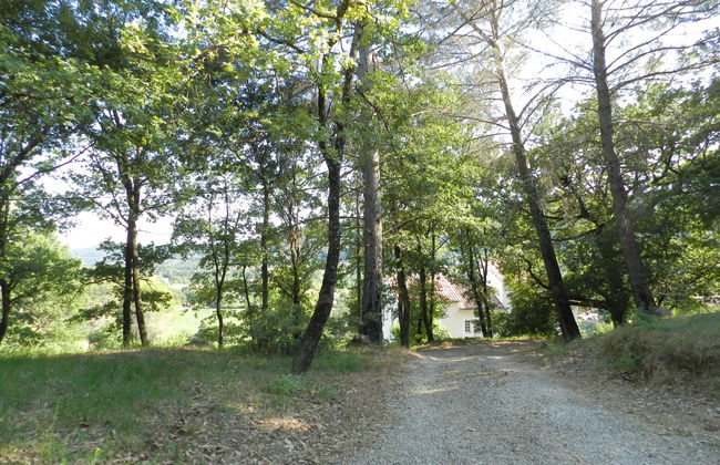 Les Grenaches - Foto 36