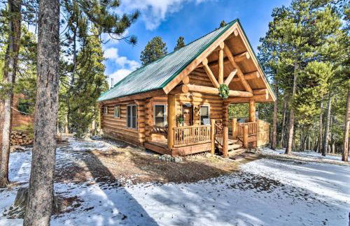 Remodeled Fairplay Log Cabin with Wood-Burning Sauna - Foto 29