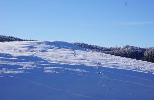 Wanderlust - Thüringer Wald, Rennsteig, Finsterbergen - Photo 22