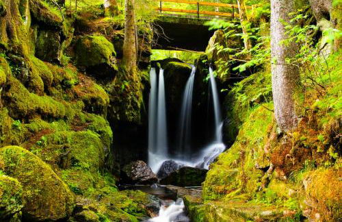 Gemütliches Ferienreihenhaus mit Holzkamin im Schwarzwald - Foto 16
