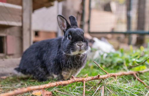 App Brunner - Photo 35