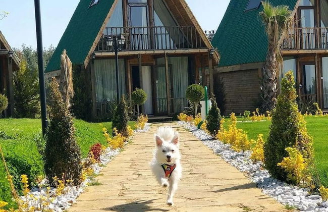 Bisanthe Panorama Sütlüce Dağ Evleri - Foto 23