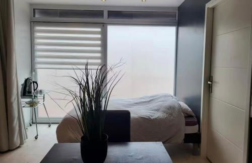 Le Grand Studio Centre Gare - Foto 1