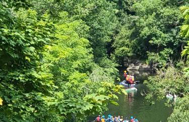 Cosy Cottage overlooking the Teifi Gorge - Foto 28