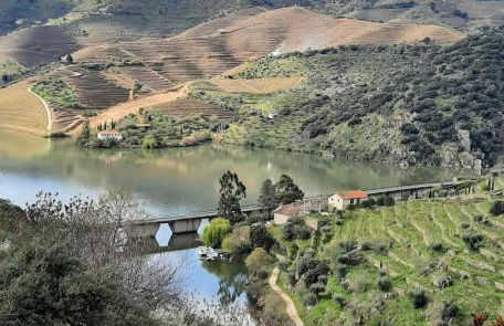 Quinta da Ferradosa Wines - Foto 1