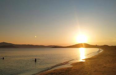 Vitzileos Studios - Foto 32