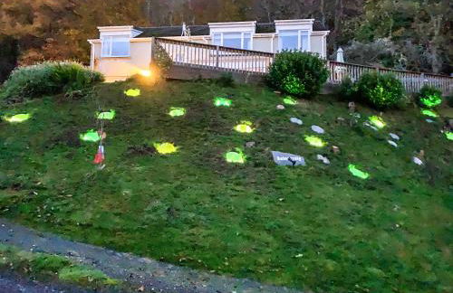 Balnacraig - Photo 38