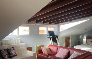 Attic family apartment - Foto 10