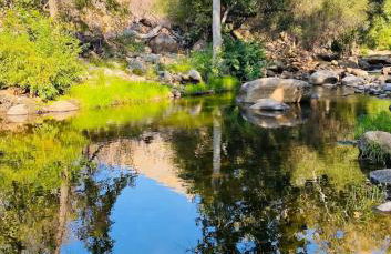 Sequoia Cabin by the River - Photo 21