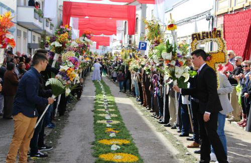 Flat in the Heart of Algarve - Foto 34