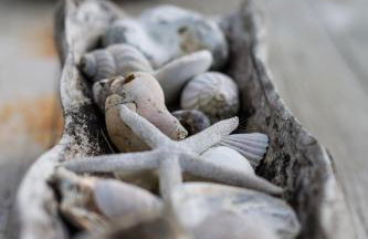 Fairlight - Charming coastal home on the beach - Foto 31