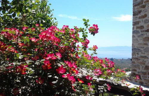 Villa Amanti - Foto 36