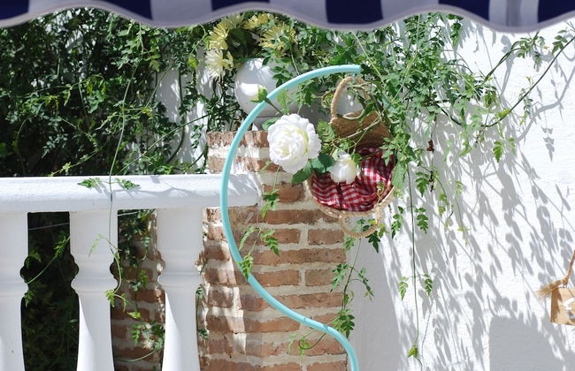 El patio del limonero - Foto 16