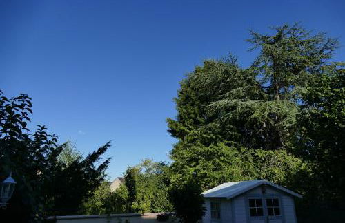 Le jardin d'Anatole - Foto 15