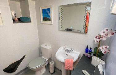 5 Star Shepherds Hut in Betws y Coed with Mountain View - Foto 18