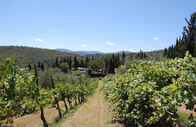 Borgo del Senatore - Foto 74