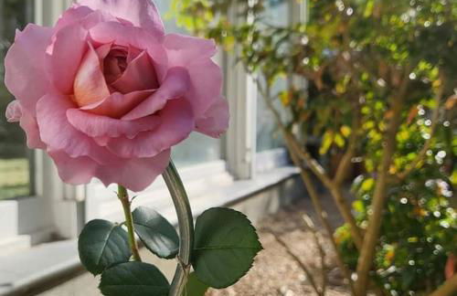 Haus am Walde - Foto 29