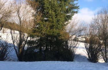 Ferienwohnung am Steinsbach - Foto 14