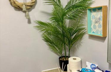 Free off street parking Georgian style Bath apartment - Photo 10