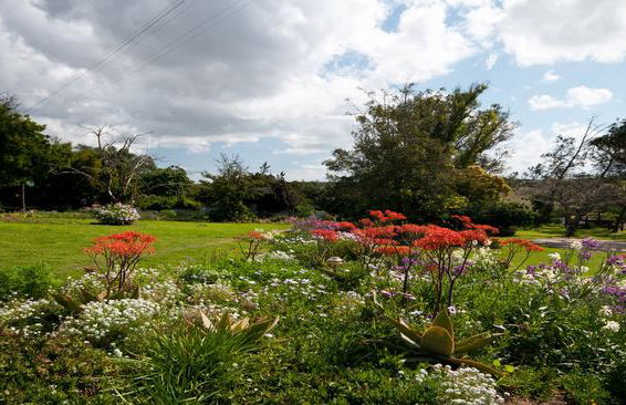 Leeuwenbosch Country House - Foto 3