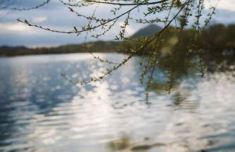 Le Terrazze Sul Lago - Foto 13