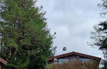 Bryn Cnocell - Foto 8