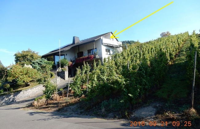 Holiday Apartment Moselle Panorama - Photo 8