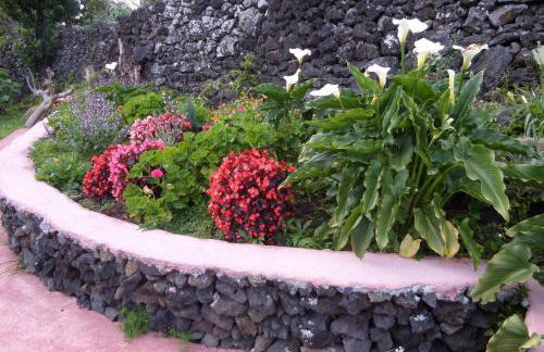 Quinta dos Sentidos Eco Nature Retreat in Azores - Photo 56