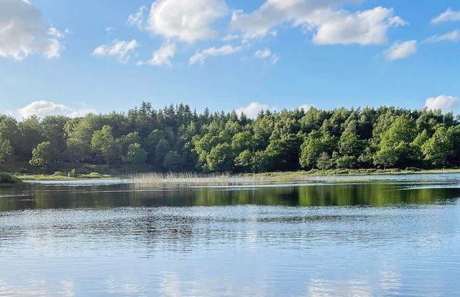 8 Person Holiday Home in Aars - Photo 30