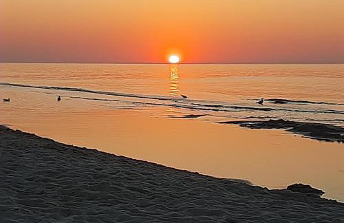 Magico Posto - Foto 49