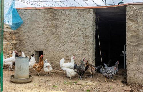 Modern comforts and rustic charm - Foto 23