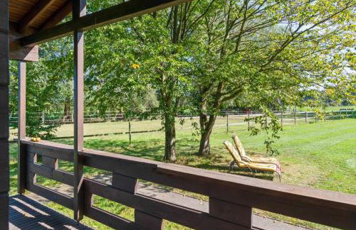 Blockhauser auf Reiterhof in Eschede - Foto 154