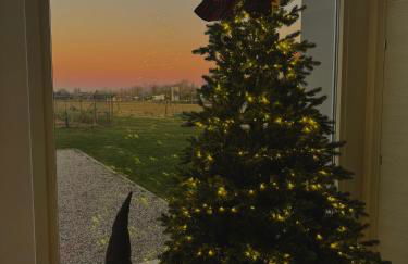 LA ROSA DEL SILE - Foto 42