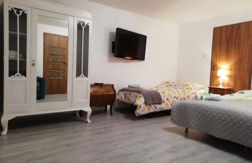 Nad Strumykiem - Photo 4