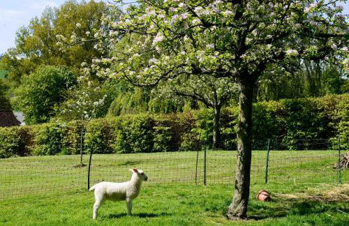 Laverstock Cottage - Photo 16
