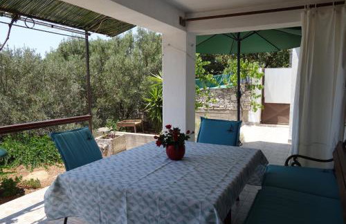 Apartmani Surjan - Foto 14