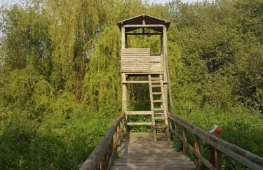 Ulfilanis Vila - Foto 31