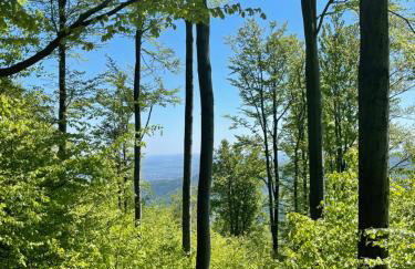 Apartament pod Wielką Sową z Sauną Infrared - Foto 24