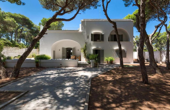 1675 Masseria Villa in Torre Specchia Ruggeri - Foto 35