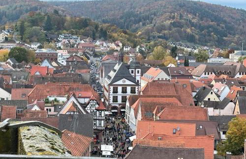 Wohnen im Springerhof - Foto 60