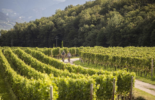 Belia Lofts - ADULTS ONLY - Apartments - Foto 55