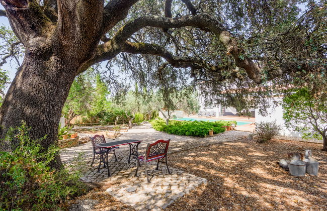 Quintal das Oliveiras - Foto 31