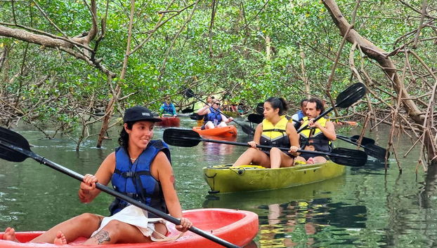 Tunnel de mangroves