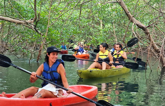 Tour en kayak al atardecer por los manglares de la isla de Boipeba - Foto 3